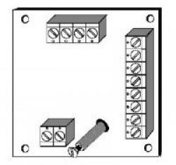 SCU 81